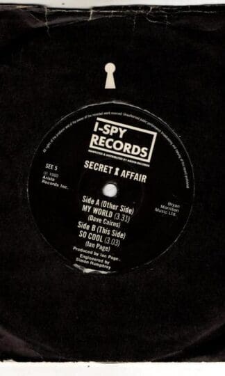 My World:Secret Affair